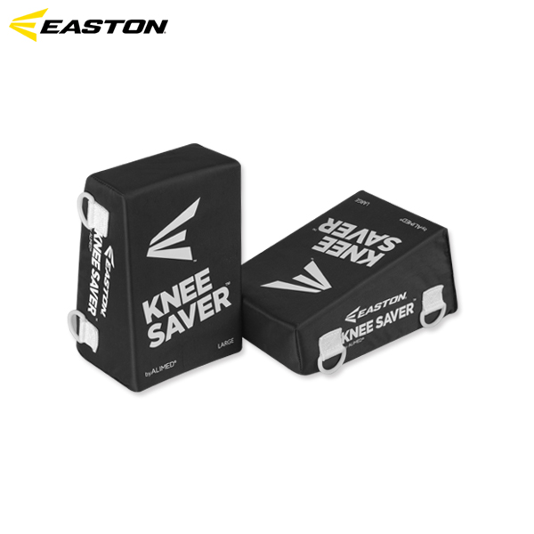 이스턴 니세이버