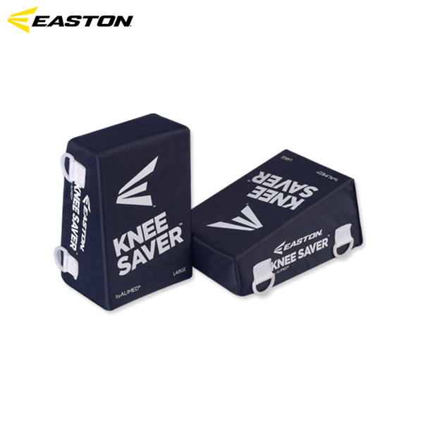 이스턴 니세이버