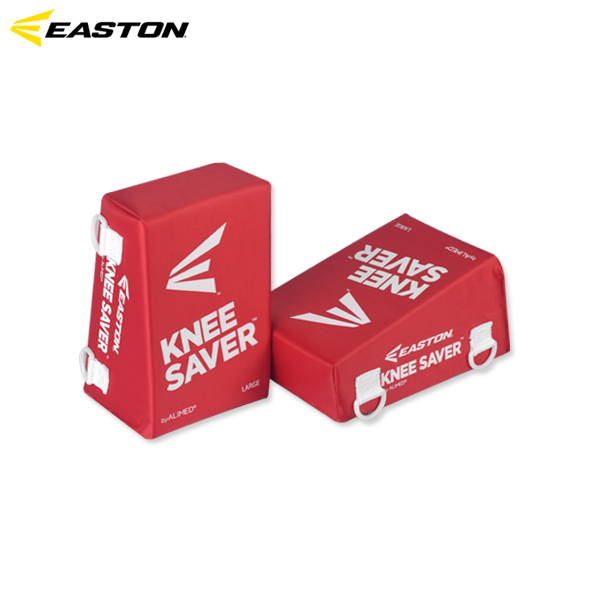 이스턴 니세이버